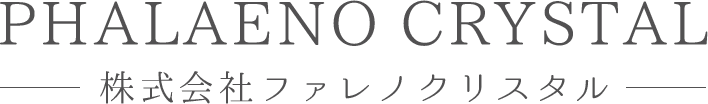 新しいホームページを開設しました!